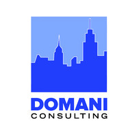 Domani Consulting logo - Similar company to Construction & Realty Services Group