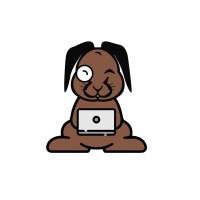 DINO CONSULT logo - Similar company to Cabinet Baille-Barrelle