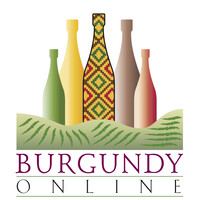 Burgundy Online logo - Similar company to 1Stplayer Technology