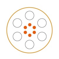 Marketing, Website Design, and Content Creation logo - Similar company to The Pocket Copy