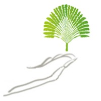 Fondation Charlotte logo - Similar company to Fonds De Dotation Rustica