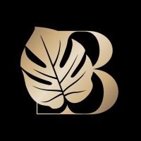 Burwick Consulting Firm LLC logo - Similar company to Tenet Financial Group