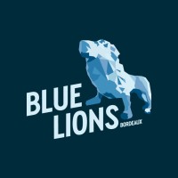 BDE Blue Lions logo - Similar company to Dcx-Ap