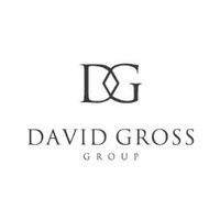 David Gross Group logo - Similar company to Stanton Kingdom