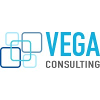 Vega Consulting* logo - Similar company to Dangl Realty™️