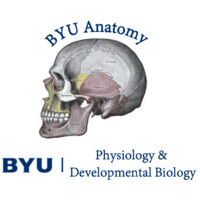 Cadaveric Tissue Library Project logo - Similar company to Philadelphia Bar Foundation