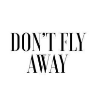 Don't Fly Away logo - Similar company to Fly Anywhere