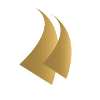 Polaris Wealth logo - Similar company to Veez Ai