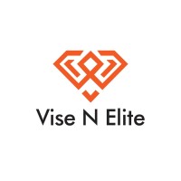Vise N Elite Private Limited logo - Similar company to Indipendant