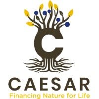 CAESAR.EARTH logo - Similar company to Vinterest