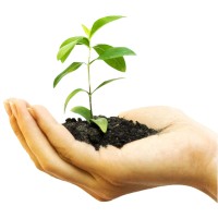 Biosque logo - Similar company to Serveast