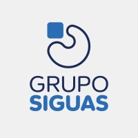 Grupo Siguas logo - Similar company to Igualdigital