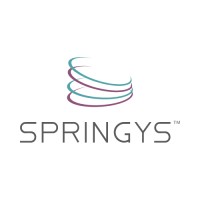 Springys logo - Similar company to Niss.Au