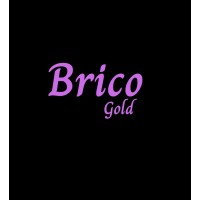 Brico gold logo - Similar company to Manpower Security Services Private Limited