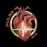 BDS PULSE ISTC logo - Similar company to Leonard
