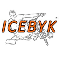 Team Icebyk logo - Similar company to Picoo