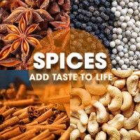 Phalco Vietnam Spices JSC logo - Similar company to Narayani Spices