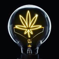 The Morning Blunt logo - Similar company to The Blunt Post Media