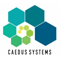 Caedus Systems logo - Similar company to Taztech Connected Solutions