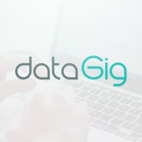 DataGig logo - Similar company to Extend Iq Tech (Pvt) Ltd.