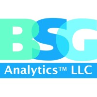 BSG Analytics logo - Similar company to Bsg (Previously Builder Systems Group)