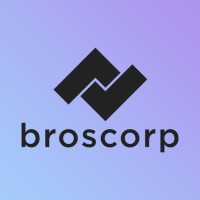 Broscorp logo - Similar company to Netrocket Academy