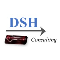 DSH Consulting LLC logo - Similar company to Dynamicmssp