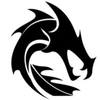 Dragon Fire Mining logo - Similar company to Regener8 Resources Nl