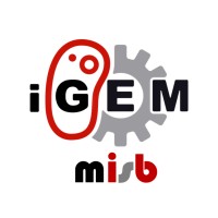 iGEM MISB logo - Similar company to Igem Leagues