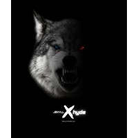Jekyll and Hyde MMA and Fitness Gym logo - Similar company to Assuring Fitness