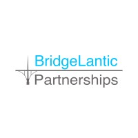 Bridgelantic Partnerships Group