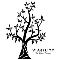 V I A B I L I T Y logo - Similar company to Magic Pixels Entertainment