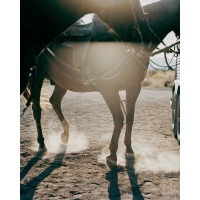 Benjamin Rasmussen Photography