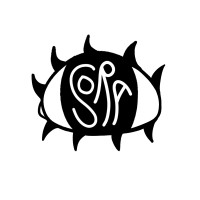 Strother School of Radical Attention logo - Similar company to Renoorable