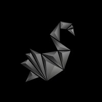 Black Swan Investments logo - Similar company to Softdevin Limited