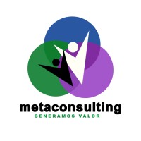 METACONSULTING logo - Similar company to Bsoluciones Programas De Bienestar Y Capacitación