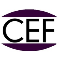 CEF Consulting logo - Similar company to Cef Consulting