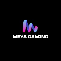 Meys Gaming logo - Similar company to St Simulations