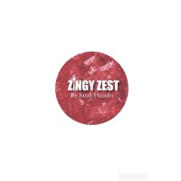 ZingyZest logo - Similar company to Dil Se Foodie