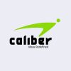 CALIBER INNO ENTERPRISE PRIVATE LIMITED logo - Similar company to Login Realty
