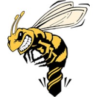 Hornet Corporation logo - Similar company to Bitvana Llc