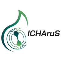ICHAruS - HORIZON TMA MSCA Doctoral Networks logo - Similar company to Fflecs Project