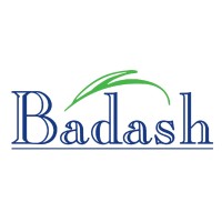Badash Crystal