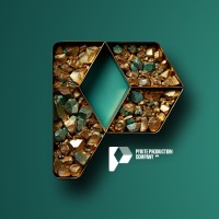 Pyrite Production Company Inc logo - Similar company to Saier Group