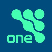 OneDash BI logo - Similar company to Saga