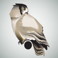 Night Owl Support Systems logo - Similar company to Safeinhome