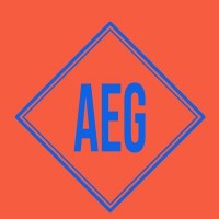 Assured Enterprise Group Llc