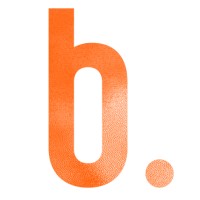 The Brand Shapers logo - Similar company to Nbiotech