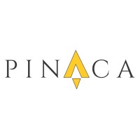 Pinaca Technologies logo - Similar company to Epixel Web