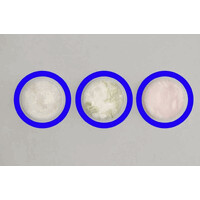 NimashCo logo - Similar company to Burgerheim Tehran
